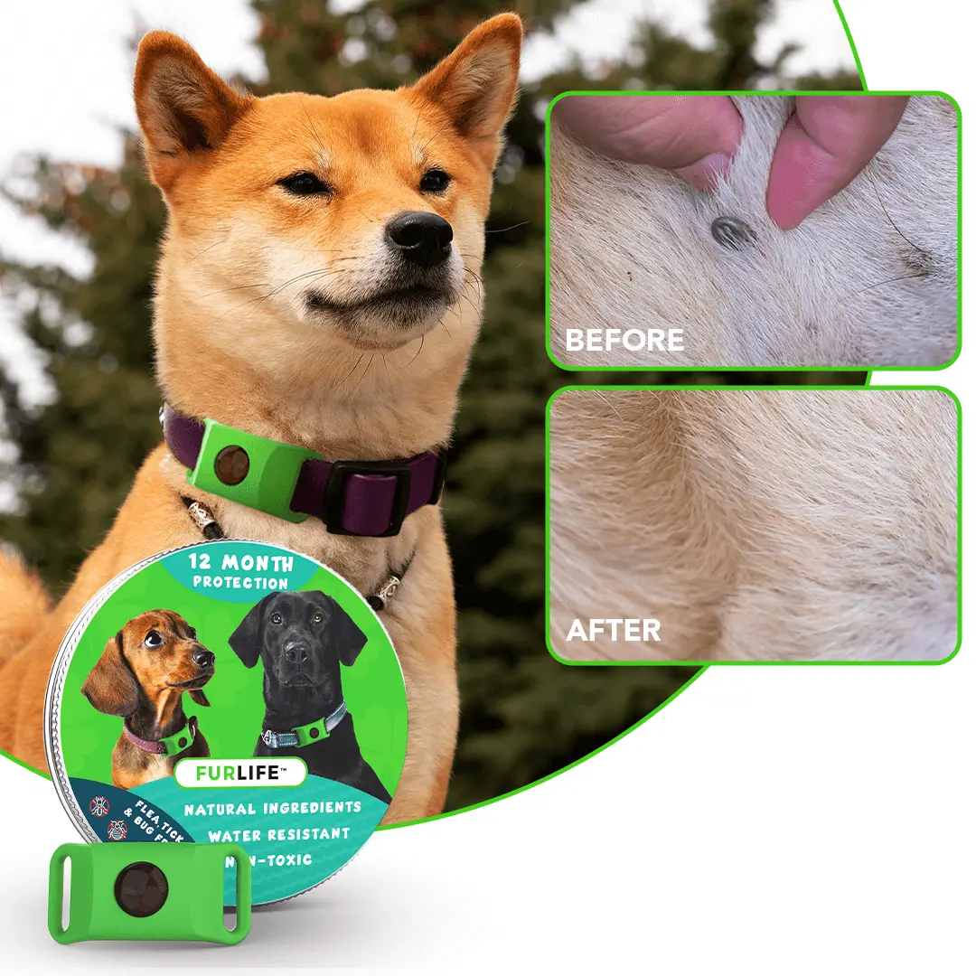 Tiworld™ 12 Months Flea and Tick Free